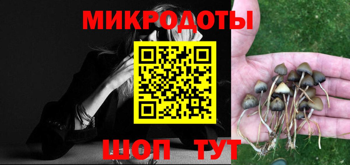 Псилоцибиновые грибы Cubensis  Вход с VPN  Десногорск 